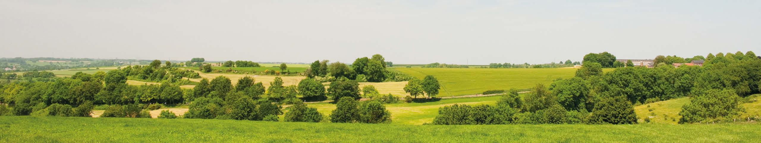 Banner Noord-Holland - Nederland